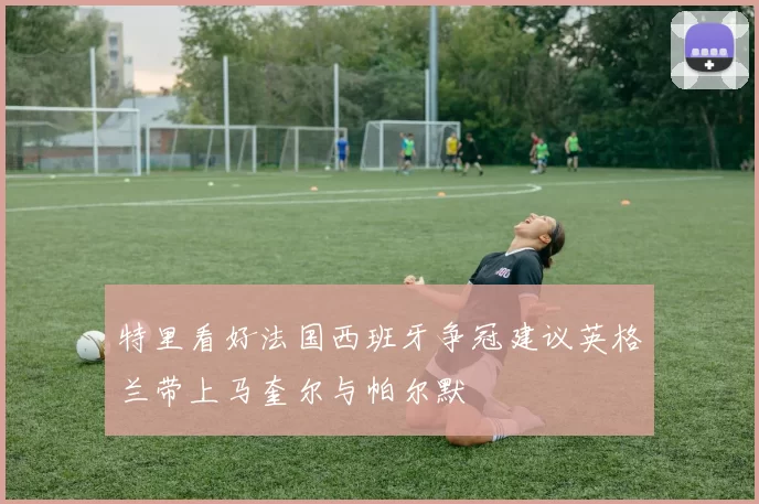 特里看好法国西班牙争冠建议英格兰带上马奎尔与帕尔默