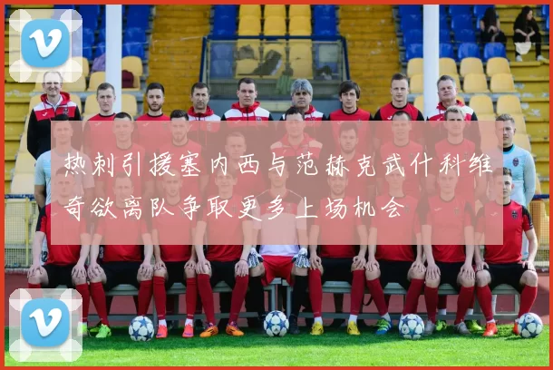 热刺引援塞内西与范赫克武什科维奇欲离队争取更多上场机会
